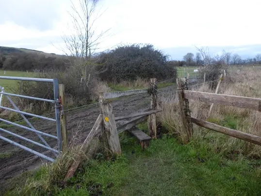 7. Go over stile and cross track at end of footpath
