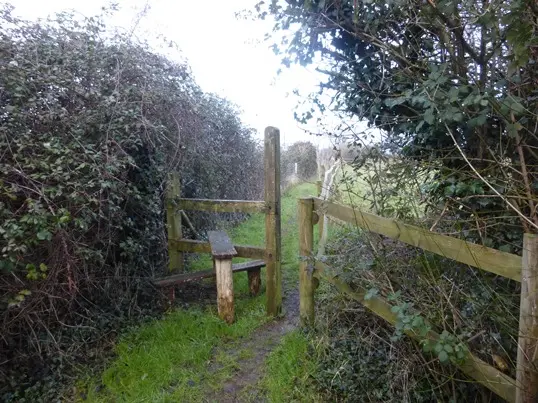 8. Over track look right, cross stile, and follow this path
